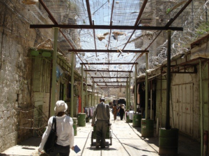 The wire mesh Palestinians must live under to try to keep out some of the things settlers throw down at them